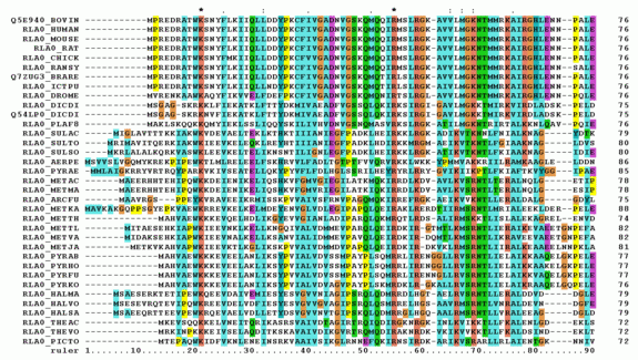 Rna Sequence Alignment Program