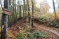 Nördlicher Aufgang zum Gipfelbereich der Südkuppe des Ringwalls am Dommelberg Koblenz