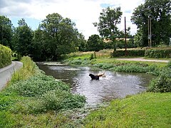 River Wylye at Kingston Deverill - geograph.org.uk - 890906.jpg