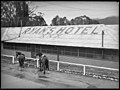 Ryan's Hotel, plus two horses.