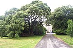 a road leading to a house behind trees