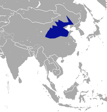 Carte de l'Asie avec une large zones bleue en Chine