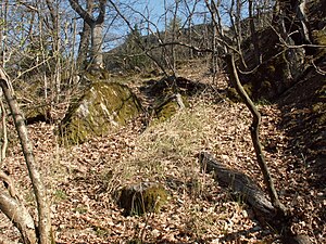 Solbergaskogen, sydbranten