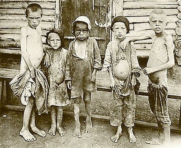 1921 ～ 1922 年のロシアの飢餓