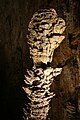 Dettaglio della stalagmite chiamata "la palma"