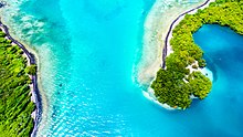 Aerial view of Vauclin's mangrove