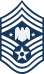 USAF Senior Enlisted Advisor for the National Guard Bureau.svg