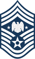 Ranginsignien für Angehörige der Air Force