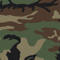 Camouflage M81 Woodland