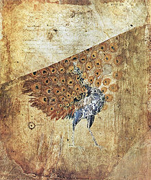 Picture of a peacock on very old paper