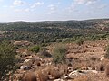 General view looking south of Rebbo