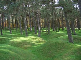 Image illustrative de l’article Forêt de Vimy