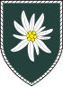 1. Gebirgsdivision (alt) → http://up.picr.de/8023588ein.jpg