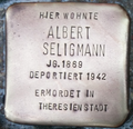 Albert Seligmann