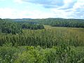 Vignette pour Parc provincial Algonquin