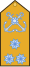 Armada Argentina - Vicealmirante.svg