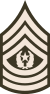 Army-USA-OR-09b (Army greens).svg