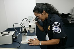 U.S. CBP Office of Field Operations officer checking the authenticity of a travel document at an international airport using a stereo microscope CBP checking authenticity of a travel document.jpg