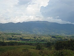 Mountain range in Cabanglasan, Bukidnon