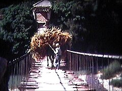 Puente colgante de Campos de Arenoso