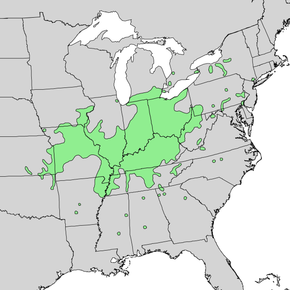 Description de l'image Carya_laciniosa_range_map_1.png.