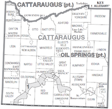 Map of Cattaraugus County, New York showing municipal and township organization Cattaraugus County, New York Divisions.png