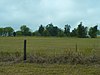 Cedar Haven Plantation house site.JPG