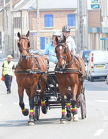 Two drivers driving two-horse carriage on city street