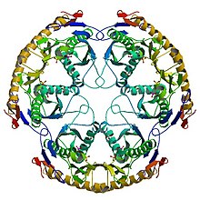 Crystal structure 1UDN.jpg