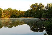 83. Platz: CatalpaSpirit Neu! mit Naturschutzgebiet„Denkendorfer Erlachsee“, Kreis Esslingen, Baden Württemberg