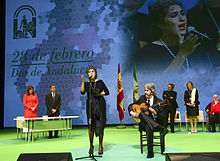 Estrella Morente singing the anthem of Andalusia in 2014