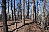 Confederate Redoubt