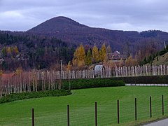 Hausberg Grodzisko