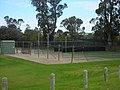 Artificial cricket nets. Turf nets are available in summer