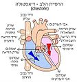 תמונה ממוזערת לגרסה מ־11:45, 27 באוקטובר 2012