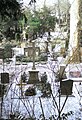 Heidelberger Bergfriedhof mit Blick durch Grabanlagen auf das Grabkreuz der Familie Nicola Moufang