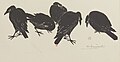 Henri Guérard: Cinq corbeaux