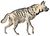 條紋鬣狗