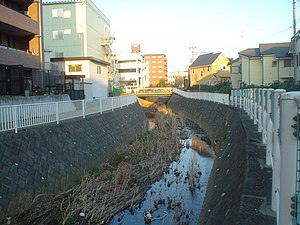 岩川 2007年1月30日撮影