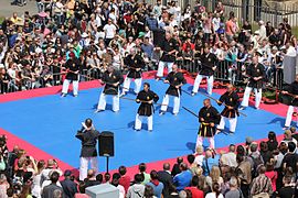 Martial arts show 2016