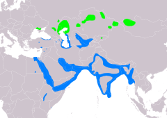 Distribución de Ichthyaetus ichthyaetus