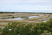 Les marais de Saint-Pierre d'Oléron.jpg