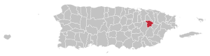 Карта Пуэрто-Рико с указанием муниципалитета Гурабо