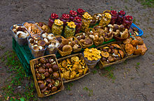 Locals selling mushrooms and berries collected in the Dainava Forest, Lithuania Mashrooms on varena roadside.jpg