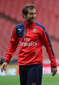 Flamini (2015)