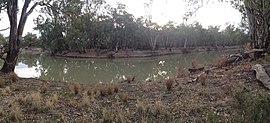 Murrumbidgee River at the Mamanga campground in the Yanga National Park.jpg