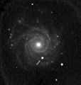 NGC 3938与内部的超新星SN 2005ay。