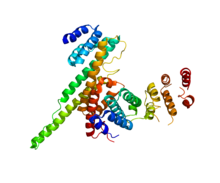 Protein NUP107 PDB 3CQC.png