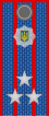 Знаки различия милиции Украины 13.svg