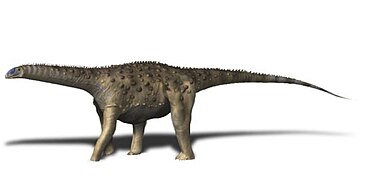 Saltasaurus